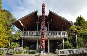 Afternoon Piha Beach and Rainforest Tour from Auckland