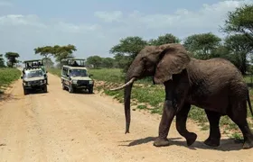 15 Days Spectacular Kenya & Tanzania Safari with Zanzibar Beach