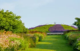 RHS Garden Wisley Ticket Adult