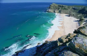 MUST DO: Cape Peninsula Tour & Good Hope from Cape Town! #1 Rated