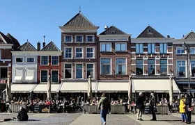 Delft: Guided City Walking Tour