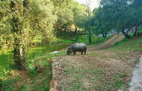 Cabarceno Natural Park Visit