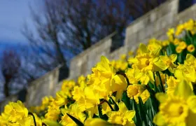 The Best of York on Foot in a Small Group