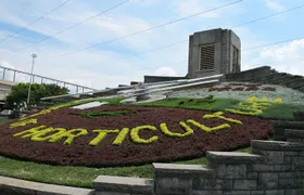 Fall for Niagara Tour