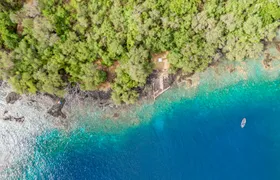4-hour Kealakekua Bay snorkeling adventure