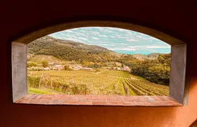 Lucca: Wine Tasting Experience - Tenuta Adamo Winery