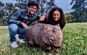 Wild Wombat and Kangaroo Day Tour from Sydney