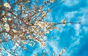 Small-Group Wine Tour & Silves Exploration (from Albufeira)