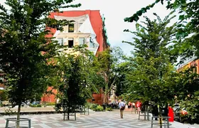 Show me the City! A Small Group Walking Tour of Toronto