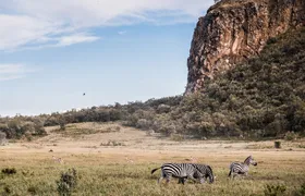 Day Trip to Hell's Gate National Park and Lake Naivasha