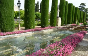 Cordoba Monuments Intensive Tour in English