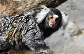 Planet Exotica entrance ticket