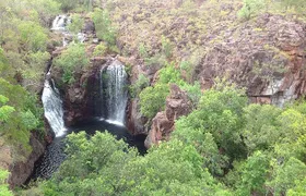 Litchfield National Park and Jumping Crocodile Cruise