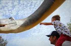 Guided tour of Hams Caves with Dinosaurland visit