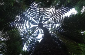 8-Hour Private Tour in 4x4 Vehicle from Ponta Delgada