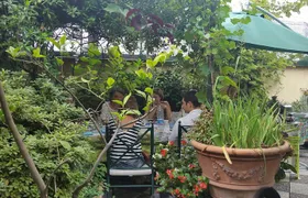 Milan-The secrets to learn fresh pasta and tiramisù