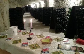 Tour of a Vineyard, Winery & Cellar with Wine Tasting in Vouvray, Loire Valley