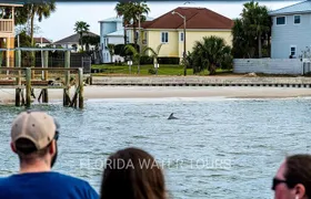 Dolphin and Wildlife Adventure of St. Augustine