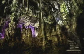 Gibraltar Pass 1-day ticket