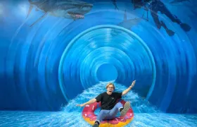 ArtVo Gold Coast General Admission Child