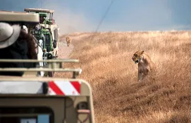 3 Days, 2 Nights Safari To Tarangire, Ngorongoro and Manyara