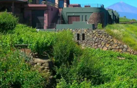 Bodegas Monje: Winery Visit & Wine Tasting
