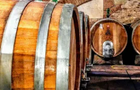 Montalcino: Vineyard Guided Tour + Wine Tasting in the Castle