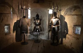 Chillon Castle Entrance Ticket in Montreux