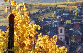 Alsace Half Day Wine Tour from Colmar