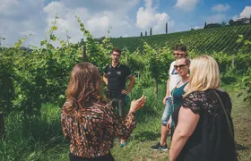 Prosecco Wine Tour from Venice: Small Group Experience