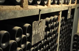 Small-Group Full-Day Tour of Côte de Nuits, Côte de Beaune Vineyards and Beaune Historical District