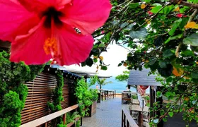 City Tour Balneário Camboriú