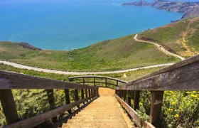 1-day tour to Napa Valley and Hawk Hill | Admission ticket not included