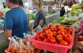 Full Day Thai Cooking at Farm (Chiang Mai)