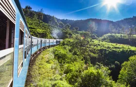 Ella Day Tour from the East Coast