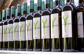 Majorca winery visit with wine and local food tasting