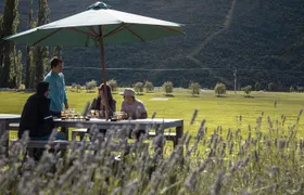 Queenstown Beer Tours