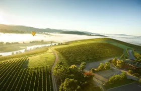 Yarra Valley Wine Day Tour