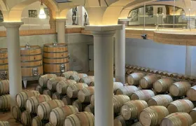 Montepulciano: Roundtrip Guided Tour of Two Wine Estates + Wine & Food Tasting