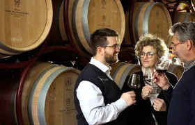Bolgheri: Premium Wine Tasting with Winery Tour