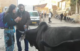 Jaisalmer Old City Heritage Tour with Govt Certified Tour Guide