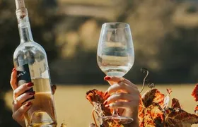 Napa & Sonoma: Guided Wine Tour from San Francisco