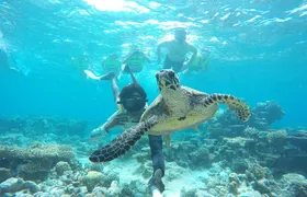 Sandbank Snorkeling and Sunset Cruise