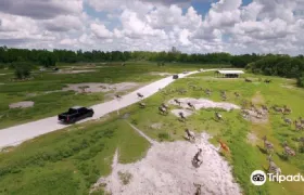 Lion Country Safari Regular Ticket Adult