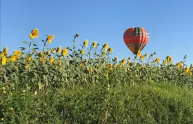 Balloon Adventures Italy, hot air balloon rides over Assisi, Perugia and Umbria