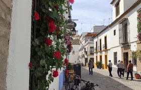 Bike Tour Córdoba