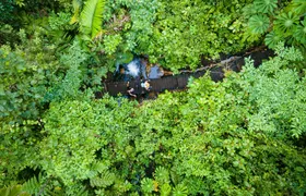 Sensoria Rainforest hiking tour