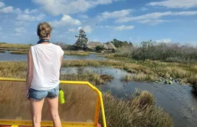 1-Hour Air boat Ride and Nature Walk with Naturalist in Everglades National Park