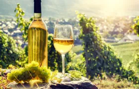 Alsace Full Day Wine Tour from Colmar