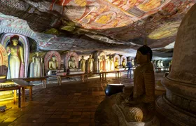 Kandy, Sigiriya, Dambulla & Minneriya Park safari two-day tour from the East Coast